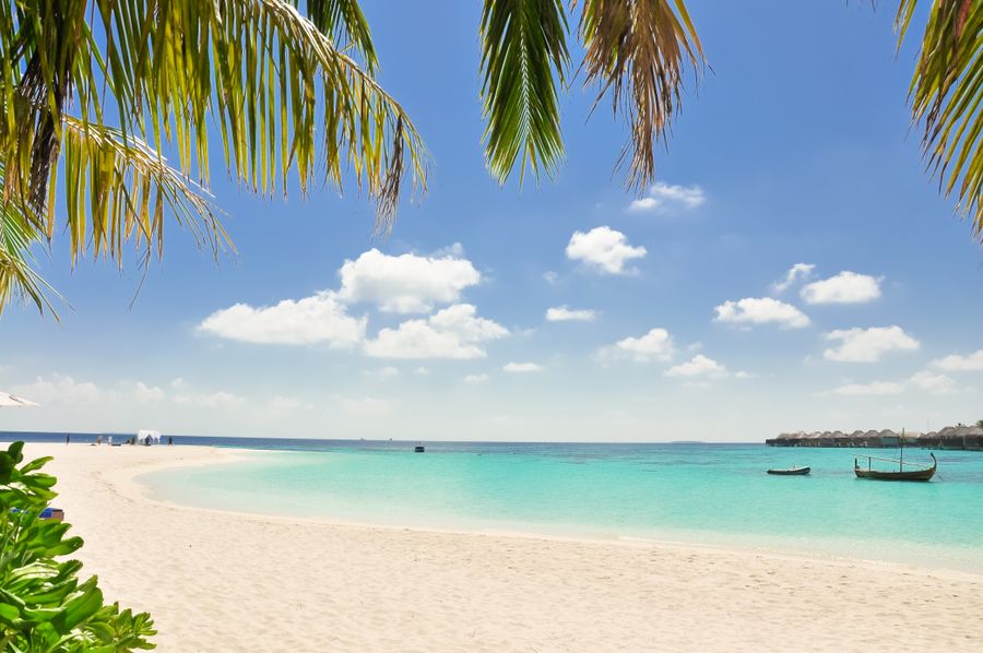 Clear blue sea along a quiet coast
