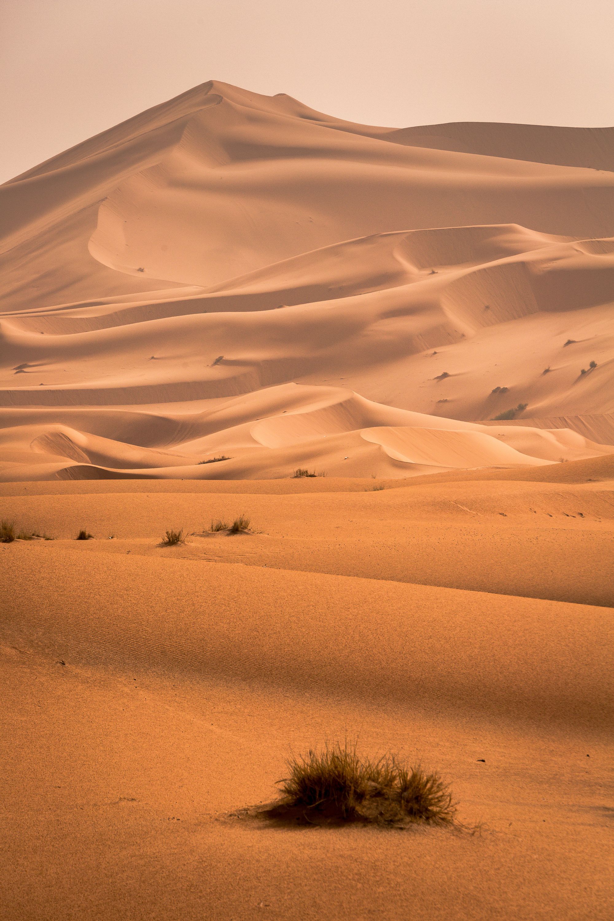Wind-shaped golden desert dunes