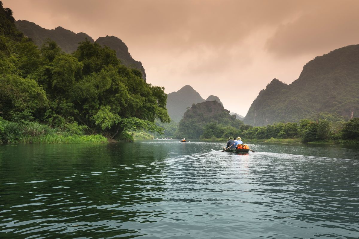Palm trees beside calm water